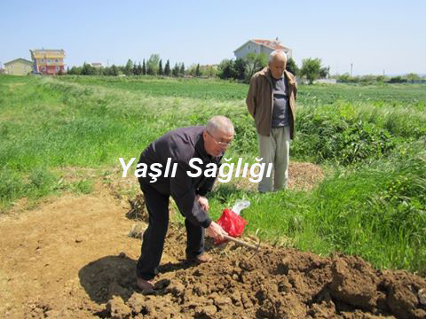 Yaşlı Sağlığı